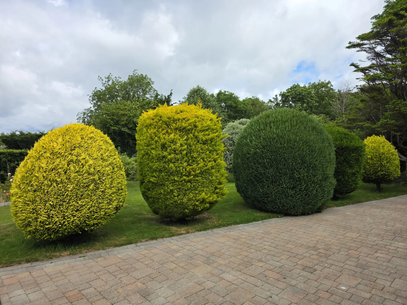 Completed garden work by The Cutting Hedge Garden Services