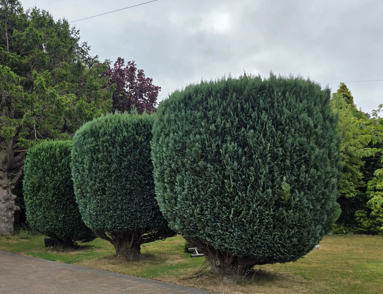 Completed garden work by The Cutting Hedge Garden Services