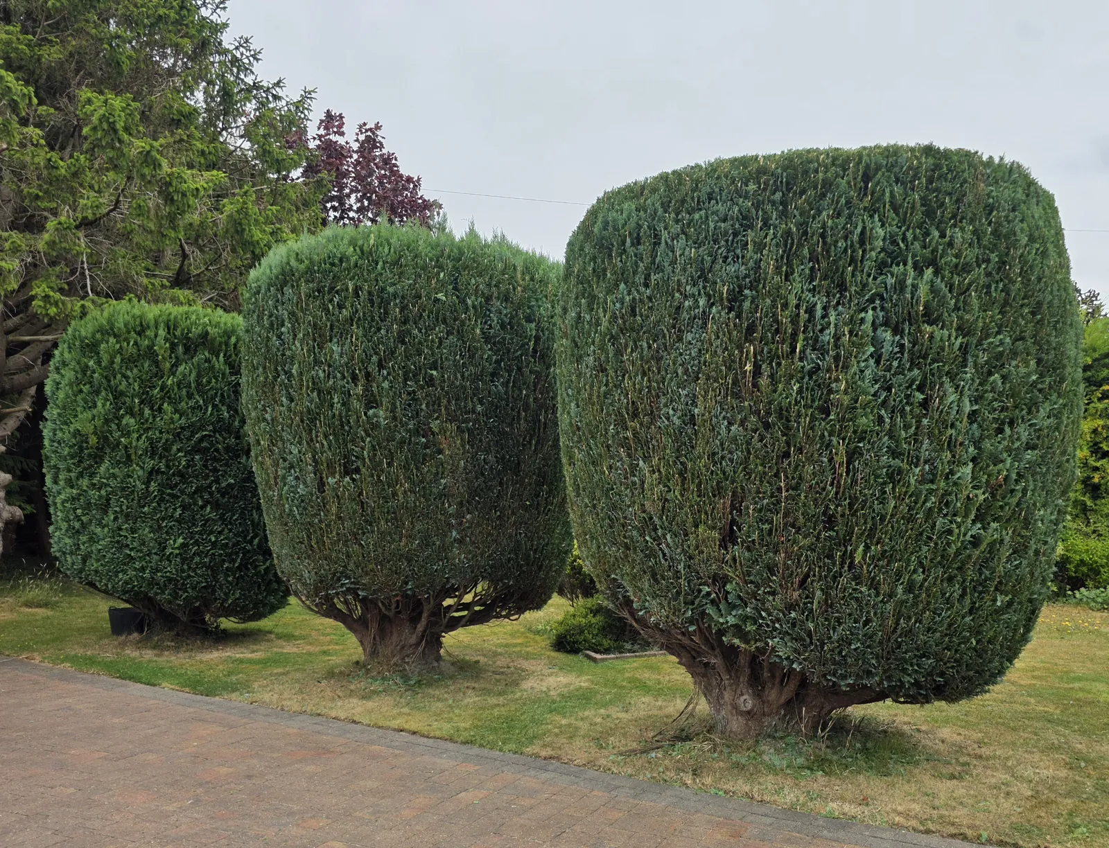 Completed garden work by The Cutting Hedge Garden Services