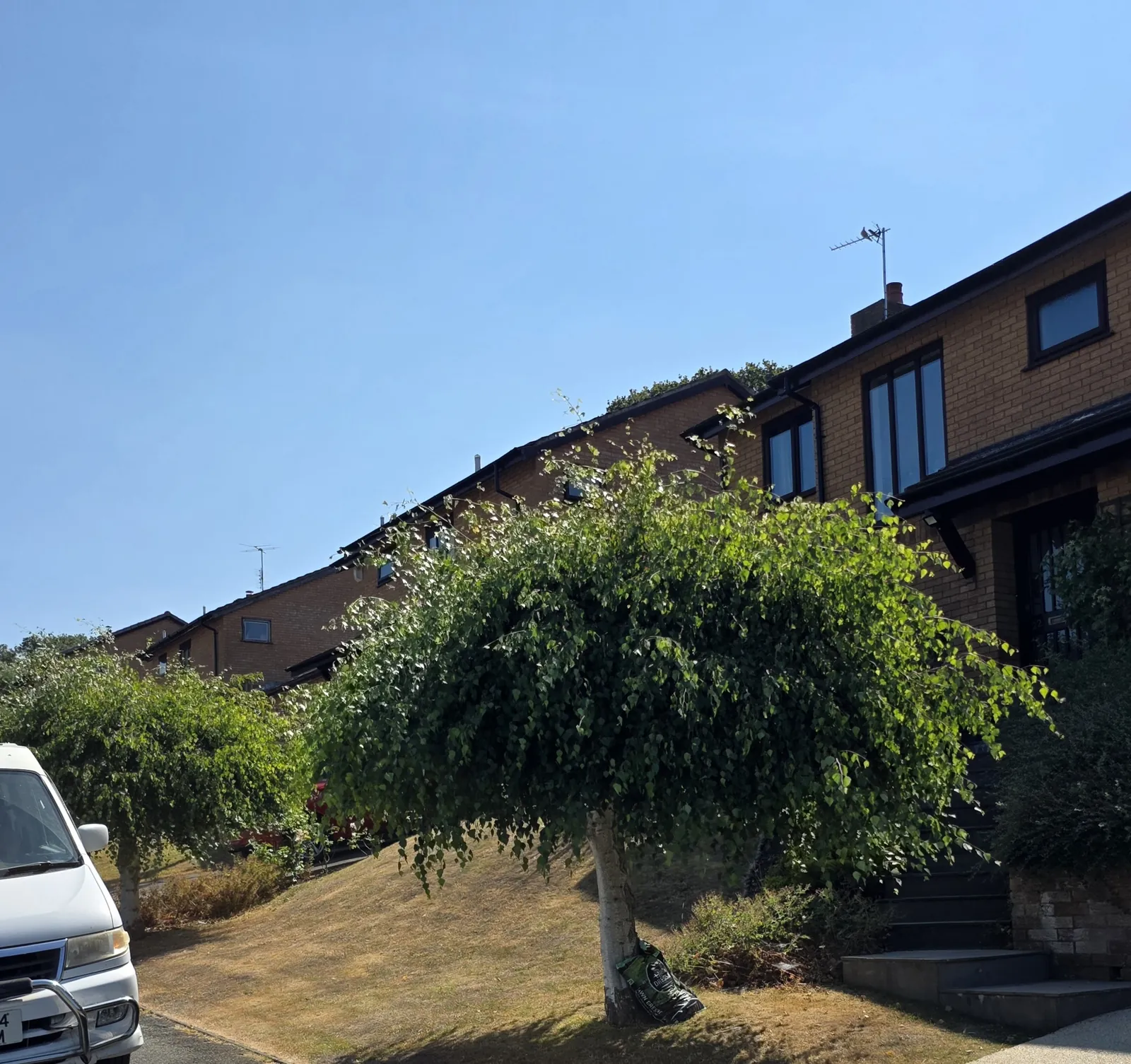 Completed garden work by The Cutting Hedge Garden Services