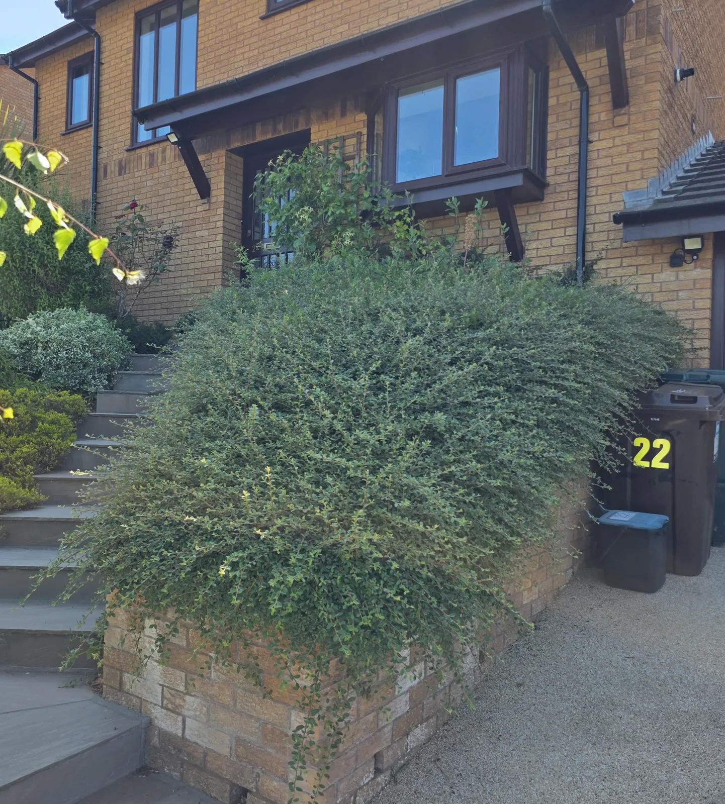 Completed garden work by The Cutting Hedge Garden Services