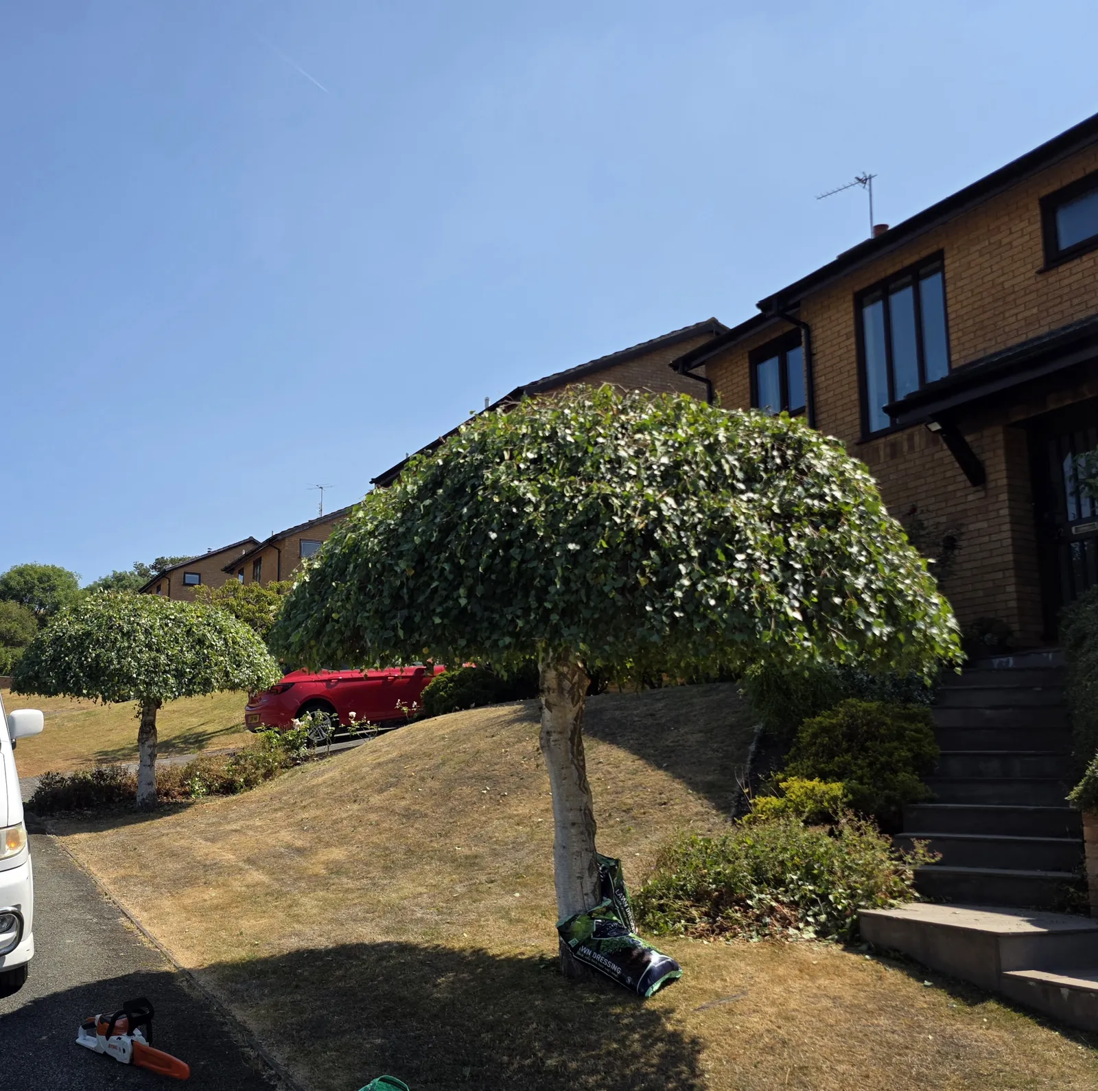 Completed garden work by The Cutting Hedge Garden Services