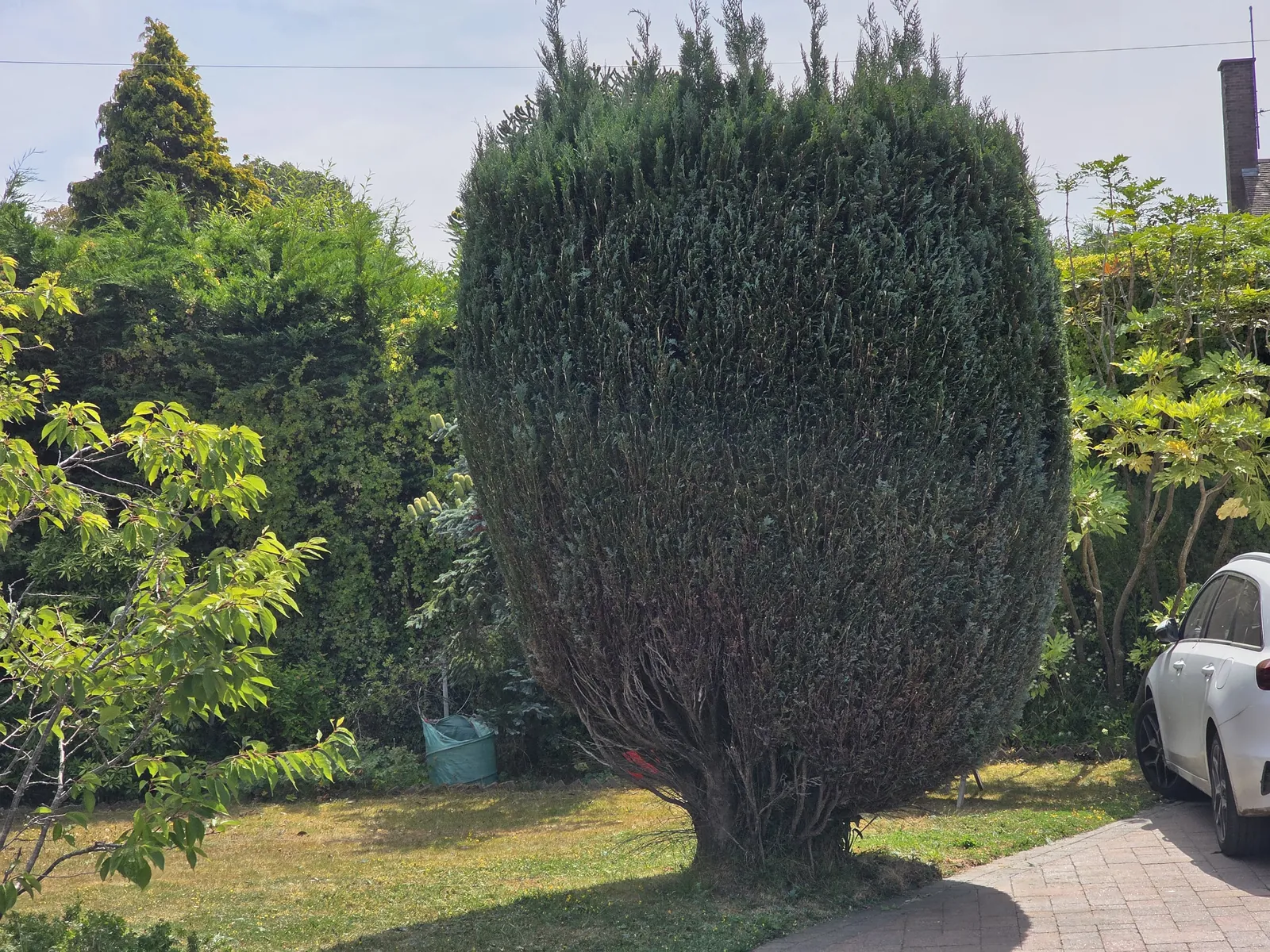 Completed garden work by The Cutting Hedge Garden Services