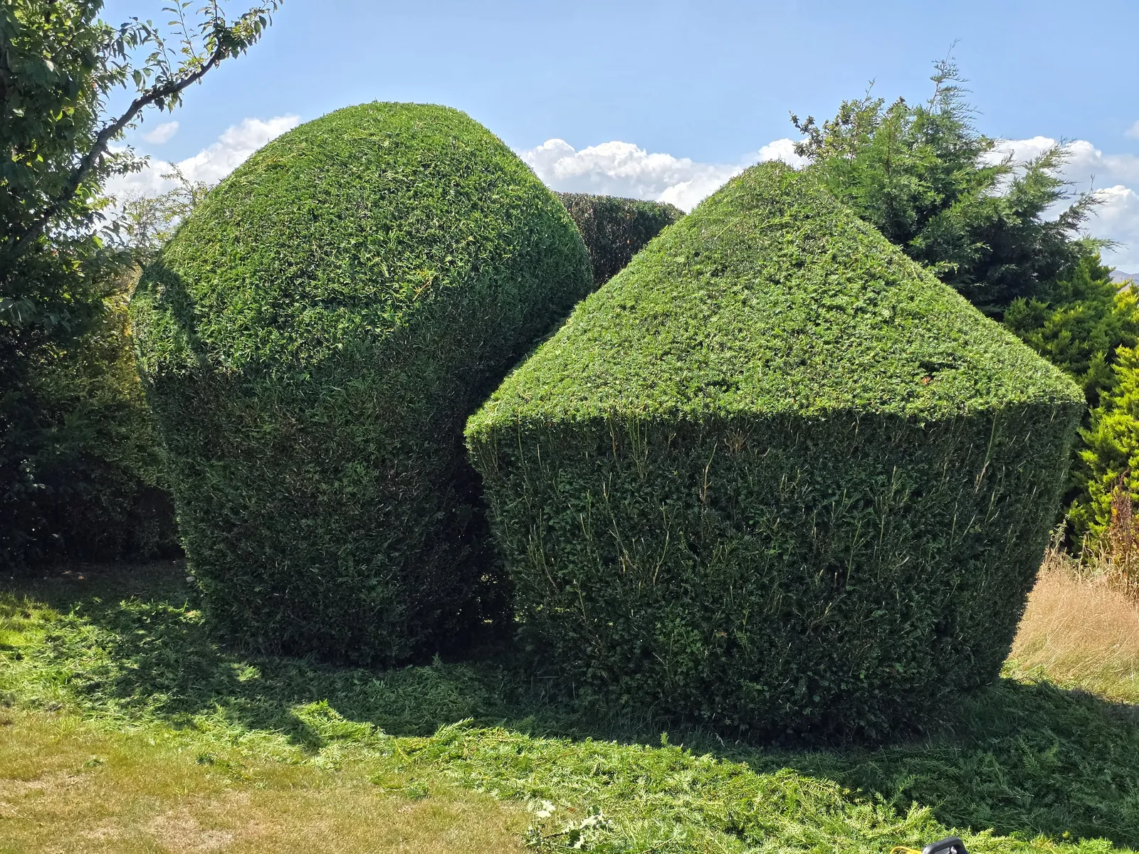 Completed garden work by The Cutting Hedge Garden Services