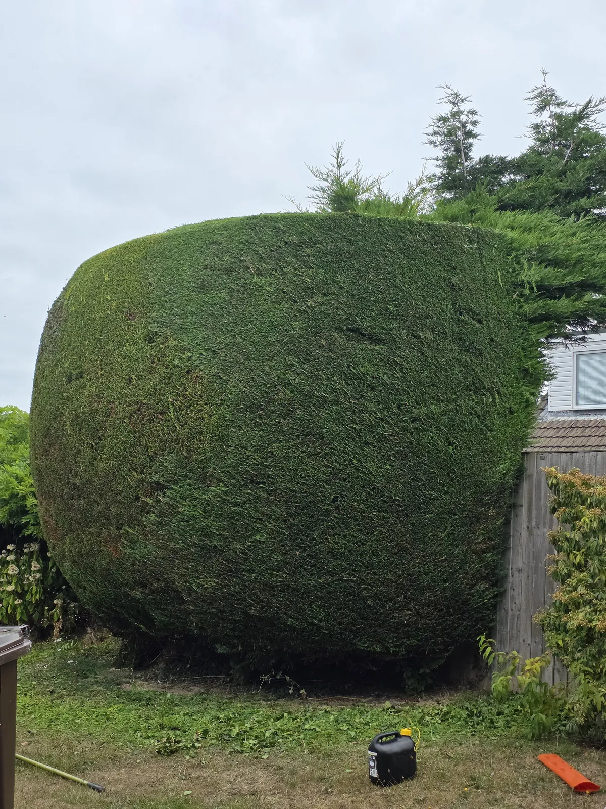 Completed garden work by The Cutting Hedge Garden Services