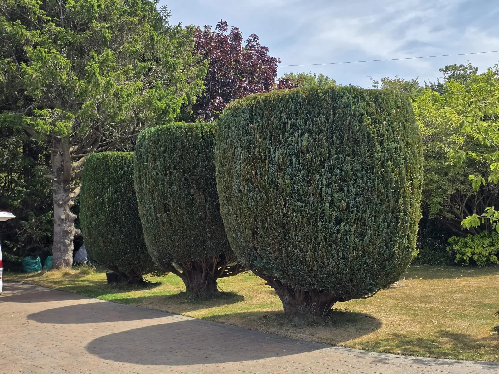 Completed garden work by The Cutting Hedge Garden Services