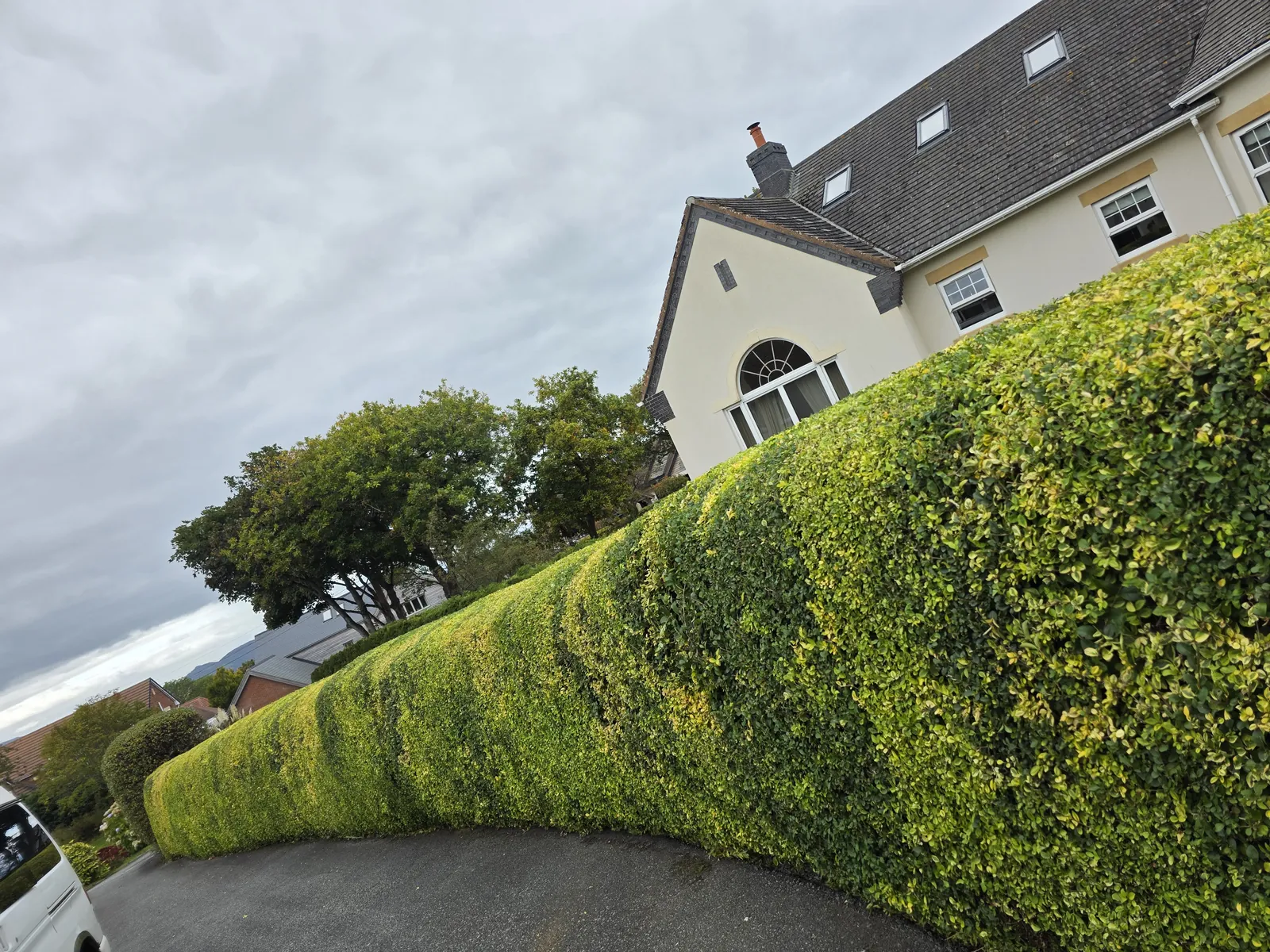 Completed garden work by The Cutting Hedge Garden Services