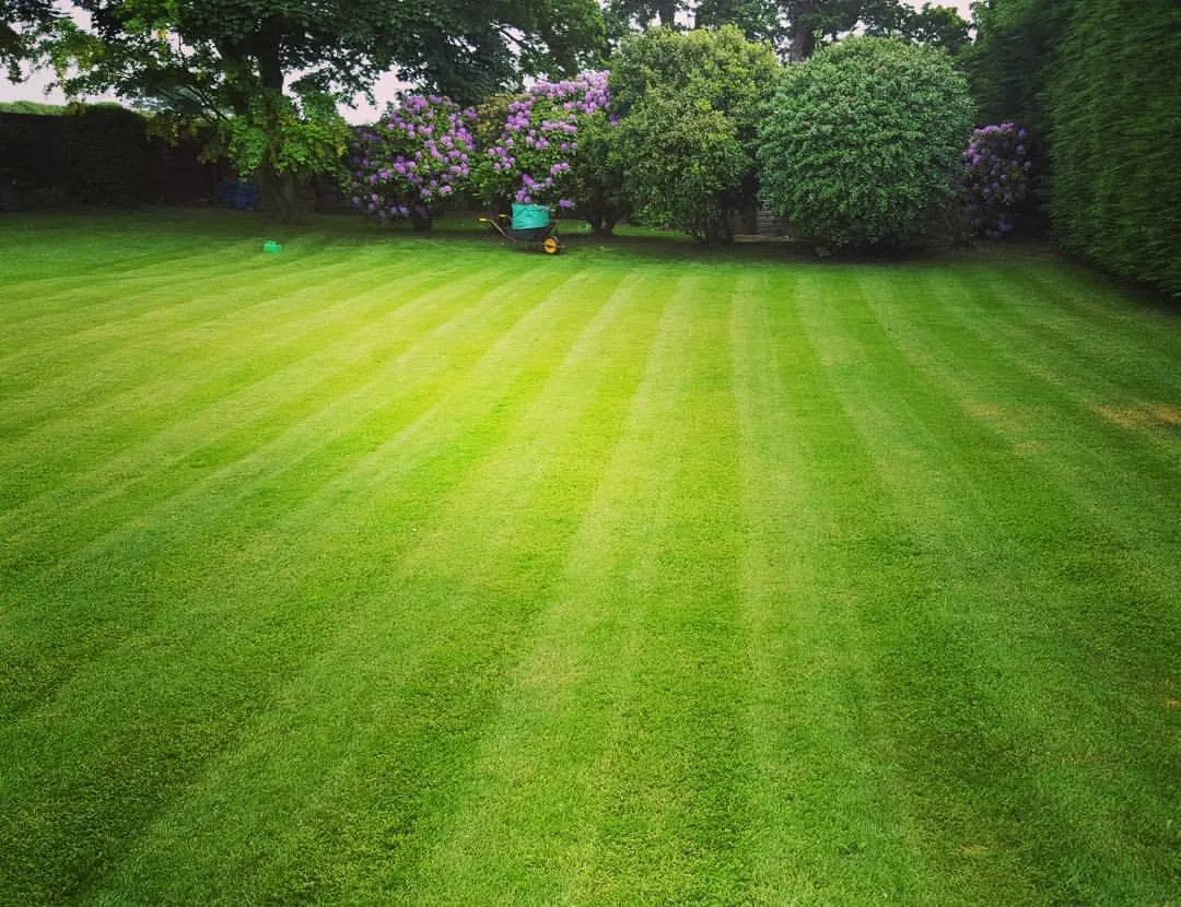 Completed garden work by The Cutting Hedge Garden Services