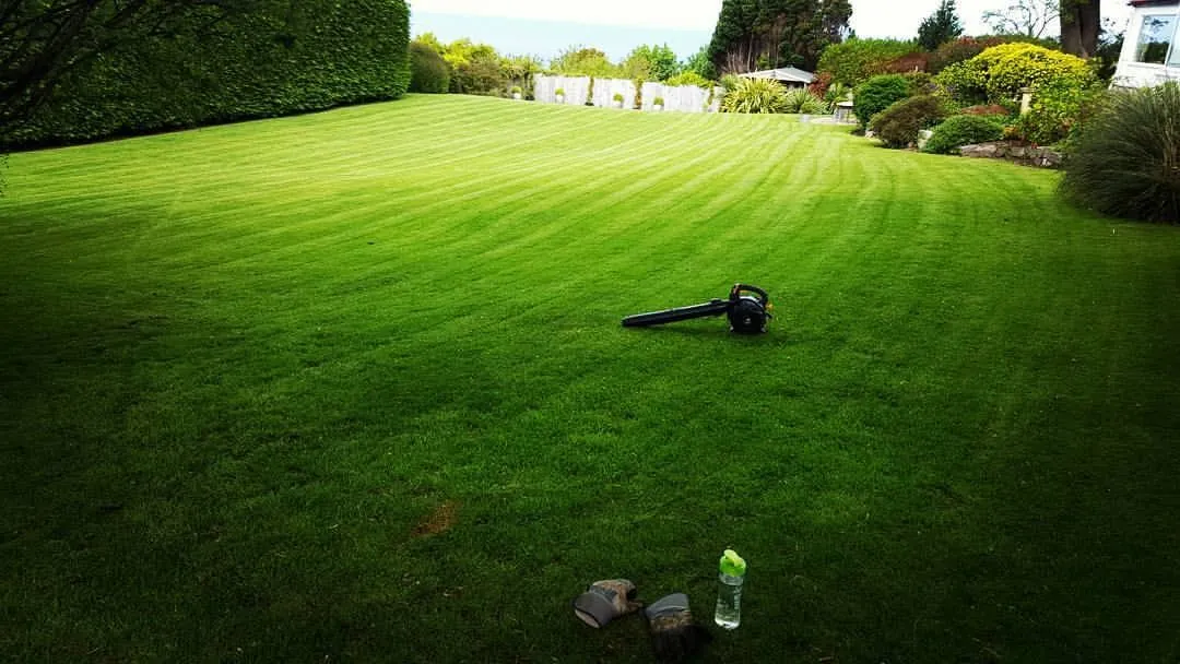 Lawn care