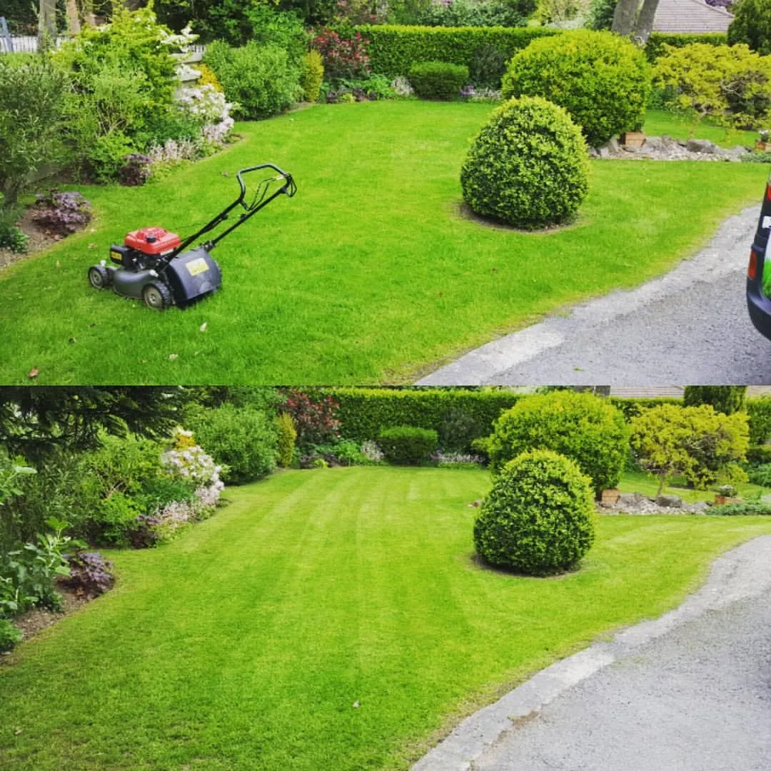 Lawn scarifying and treatment