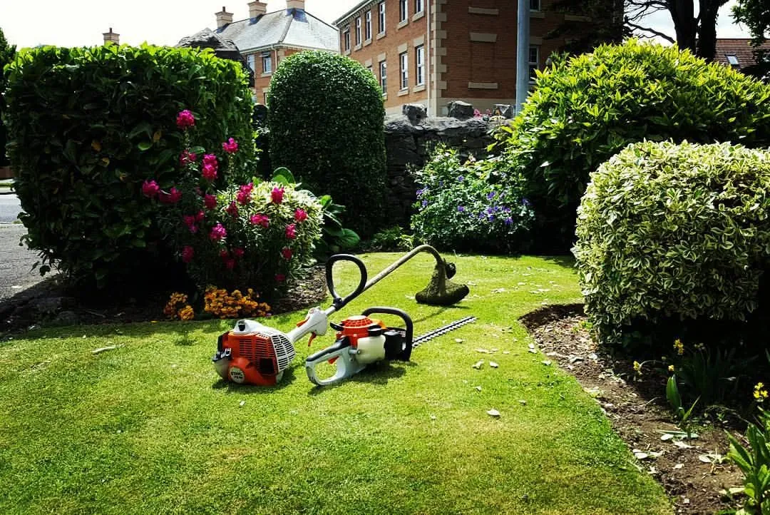Fortnightly garden maintenance