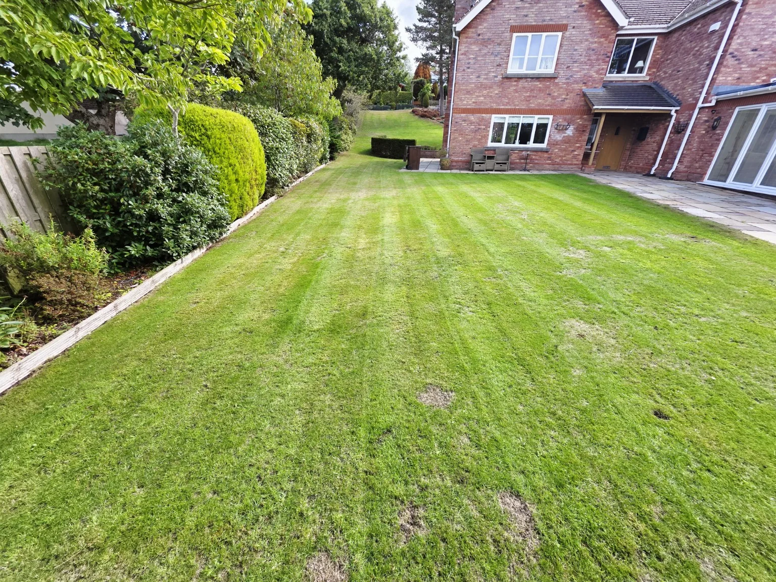 Maintained lawn and hedges in a residential garden