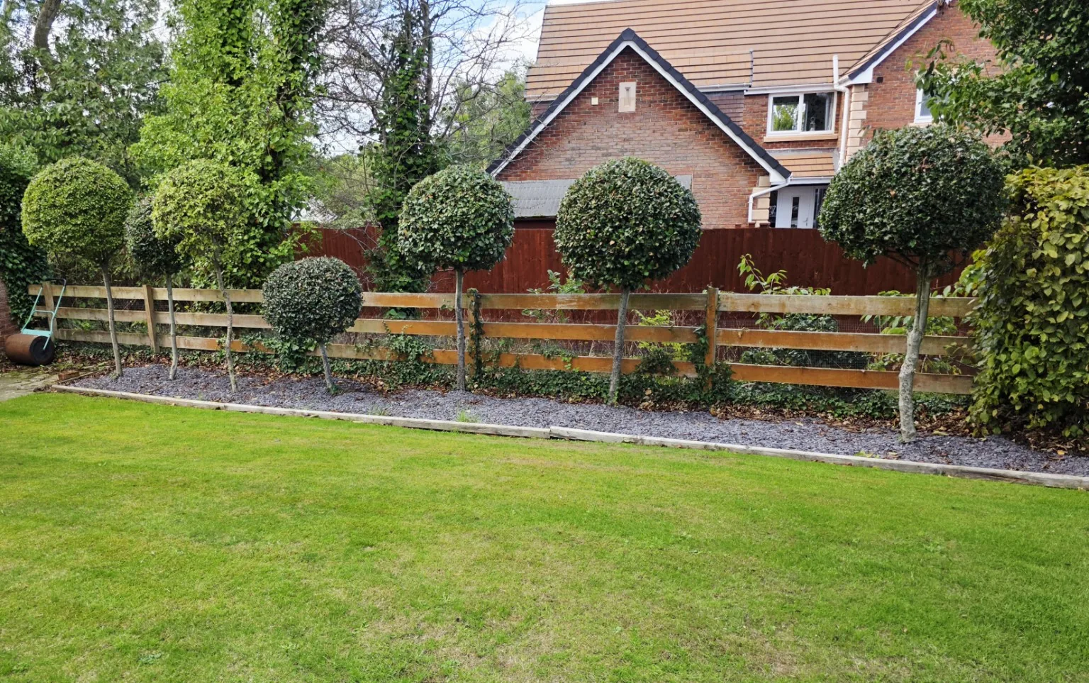 Neatly shaped shrubs after garden maintenance