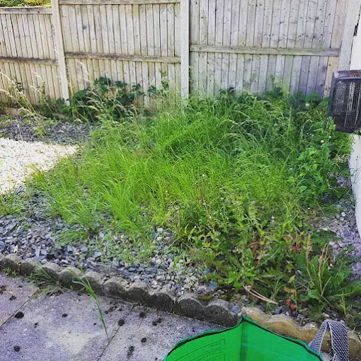 Garden before clearance