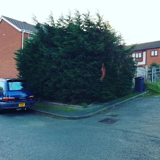 Hedge cutting
